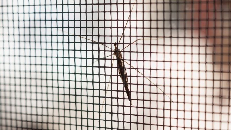 tela contra mosquitos